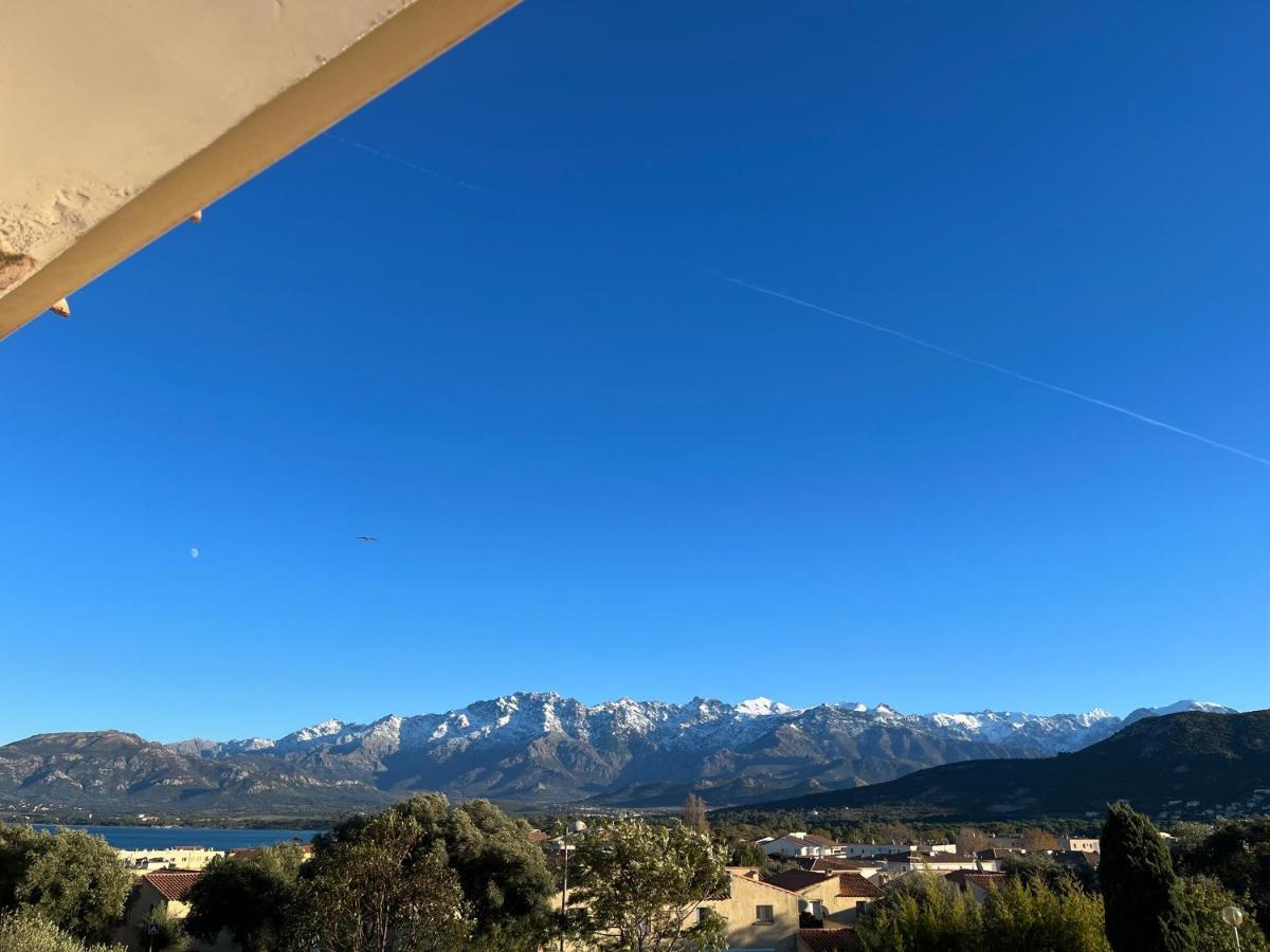 Farfalla * Calvi (Corsica)
