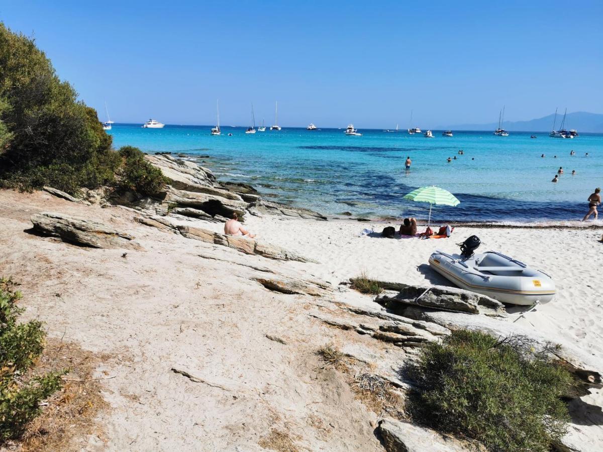 Farfalla Calvi (Corsica)