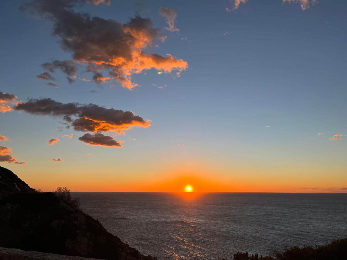 Apartment Farfalla Calvi (Corsica)